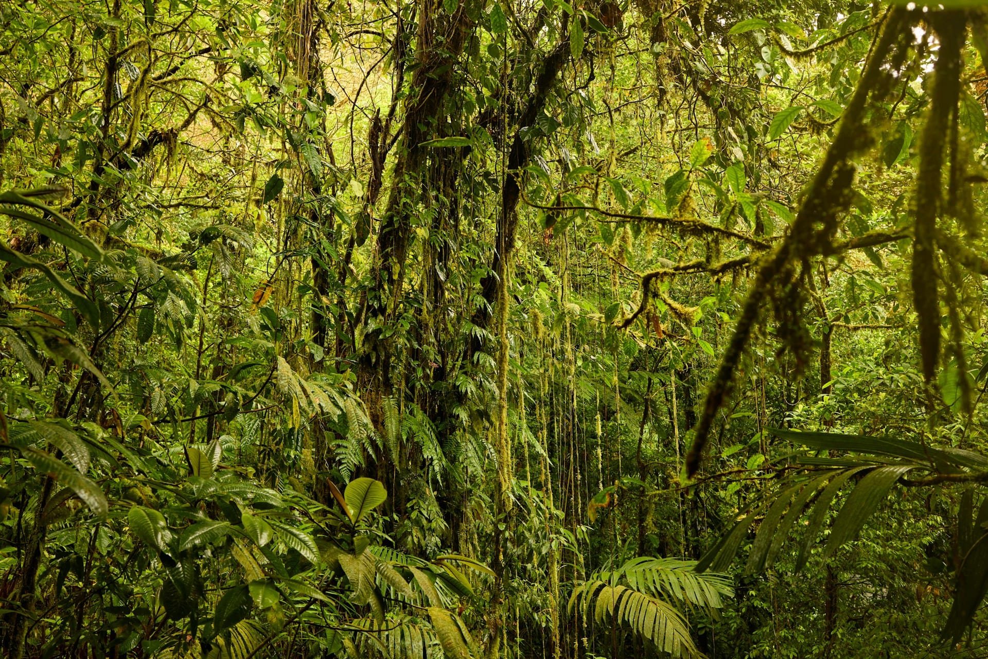 How to Control Anger in a World Full of More Stressors